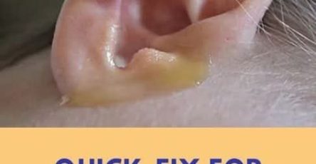 WhatsApp Image 2025 10 06 at 11.45.23 f7f46669