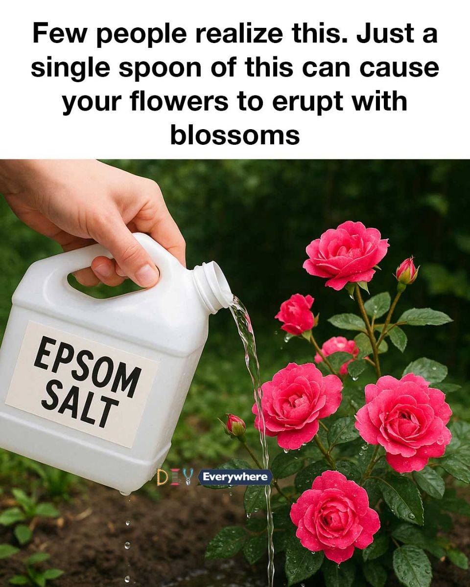 WhatsApp Image 2025 10 06 at 11.45.23 f7f46669