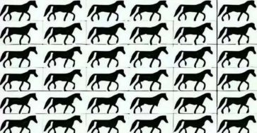 1f81aea36b4f043ad7 copy 758x416 6 1 taha 2 taha taha 2 185 1 105