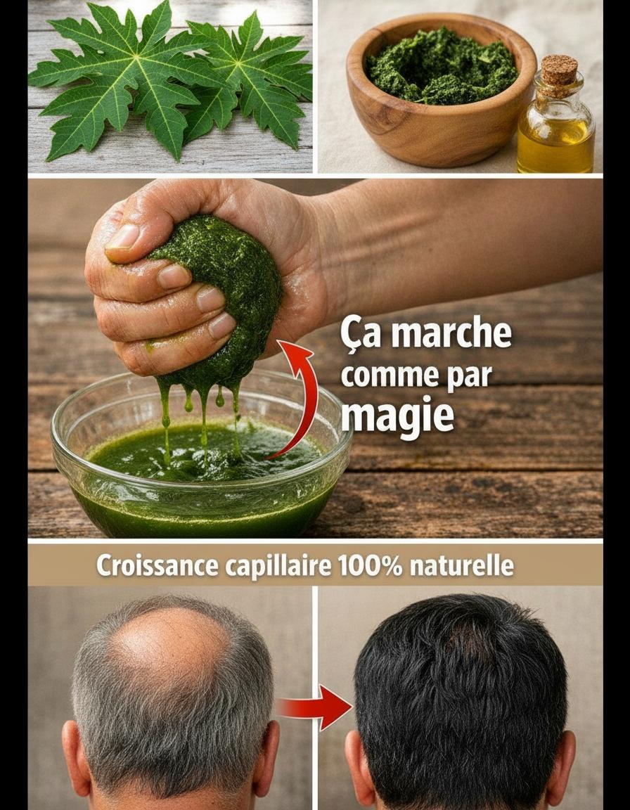 629267452 122111806449198781 4848988740917213576 n